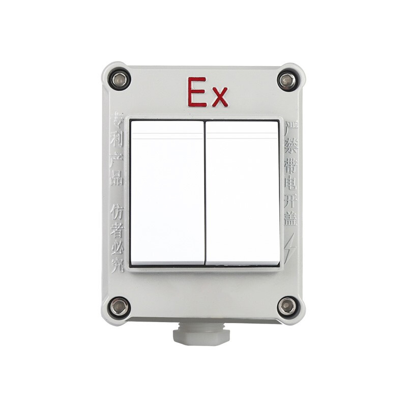 專業解析 工業級防爆照明開關——安全、可靠、多功能的電氣控制核心